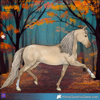 Horse Color:Chocolate Palomino Dun 