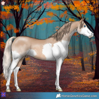 Horse Color:Red Dun Splash 