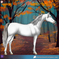 Horse Color:White Spotted Buckskin Onyx 
