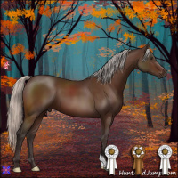 Horse Color:Silver Brown 