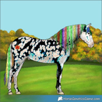 Horse Color:Painted Silver Bay Ice Dun Sabino Blanket Rabicano 