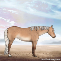 Horse Color:Silver Bay Dun 
