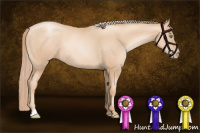 Horse Color:Gold Champagne Pearl Rabicano  and Gold Champagne Pearl Rabicano 