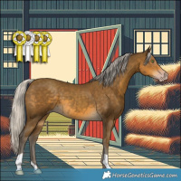 Horse Color:Gray Silver Classic Cream Champagne 