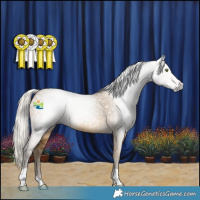 Horse Color:Gray Silver Classic Cream Champagne 