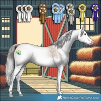 Horse Color:Gray Classic Cream Champagne Splash 