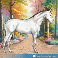 Horse Color:Painted Watercolor White Spotted Red Dun Splash Appaloosa 