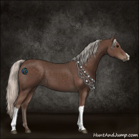 Horse Color:Silver Black 