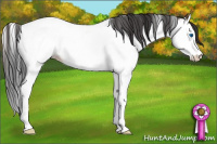 Horse Color:Bay Roan Splash Fewspot Rabicano 