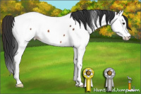 Horse Color:Brown Splash Fewspot 