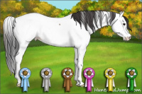 Horse Color:Bay Roan Splash Appaloosa Rabicano