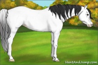 Horse Color:Brown Roan Splash Fewspot Rabicano 