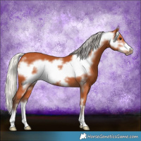 Horse Color:Silver Bay Frame