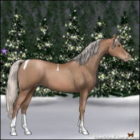 Horse Color:Silver Black Pearl Tobiano 