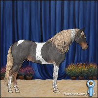 Horse Color:Liver Red Roan Tobiano 