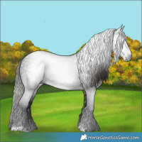 Horse Color:Gray Liver Chestnut Rabicano 
