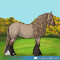 Horse Color:Liver Red Dun 