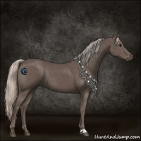 Horse Color:Silver Black 