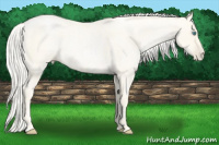 Horse Color:Gold Cream Champagne Roan Pearl 