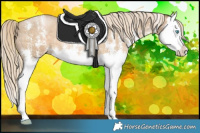Horse Color:Chocolate Palomino Pearl Mushroom Sabino Splash