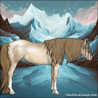Horse Color:Buckskin Pearl Mushroom Sabino 