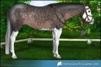 Horse Color:Platinum Brown Splash