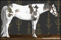 Horse Color:Platinum White Spotted Liver Chestnut Splash 