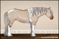 Horse Color:Silver Bay Dun Mushroom Tobiano 