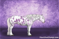 Horse Color:Watercolor White Spotted Chocolate Palomino Ice Tobiano Appaloosa 