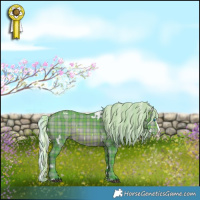 Horse Color:Watercolor Plaid  White Spotted Silver Brown Splash 