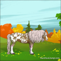 Horse Color:Watercolor White Spotted Silver Brown Appaloosa 