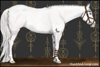 Horse Color:Platinum White Spotted Gold Cream Champagne Pearl 