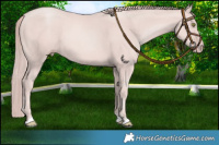 Horse Color:Platinum Gold Champagne 