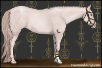 Horse Color:Platinum Gold Champagne 
