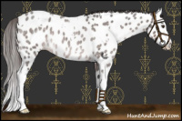 Horse Color:Platinum White Spotted Liver Red Roan Splash Near Leopard 