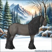 Horse Color:Grullo 