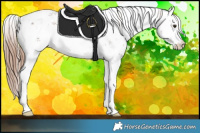 Horse Color:Liver Chestnut Sabino