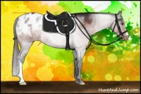 Horse Color:Brown Roan Mushroom Appaloosa 