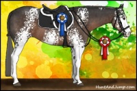 Horse Color:White Spotted Liver Chestnut Mushroom Sabino 