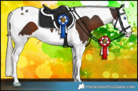Horse Color:Liver Chestnut Mushroom Splash Tobiano 