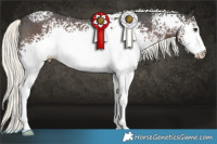 Horse Color:White Spotted Liver Chestnut Mushroom Sabino 