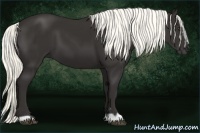 Horse Color:Liver Chestnut Mushroom 