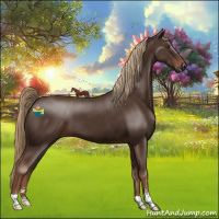 Horse Color:Liver Chestnut Sabino 