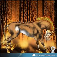 Horse Color:Palomino Frame 