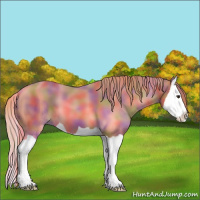 Horse Color:Nacre Chestnut Splash 