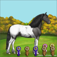 Horse Color:Black Tobiano Snowcap 