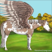 Horse Color:White Spotted Liver Red Dun Splash