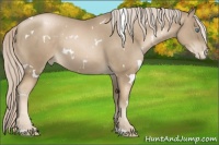 Horse Color:White Spotted Chocolate Palomino Pearl 