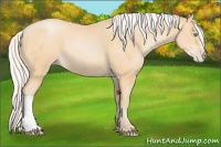 Horse Color:Silver Buckskin Pearl 