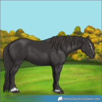 Horse Color:Smoky Black Sabino 
